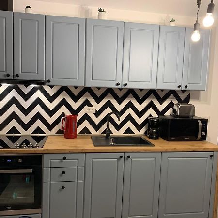 Best Apartment Scheia スチャヴァ エクステリア 写真