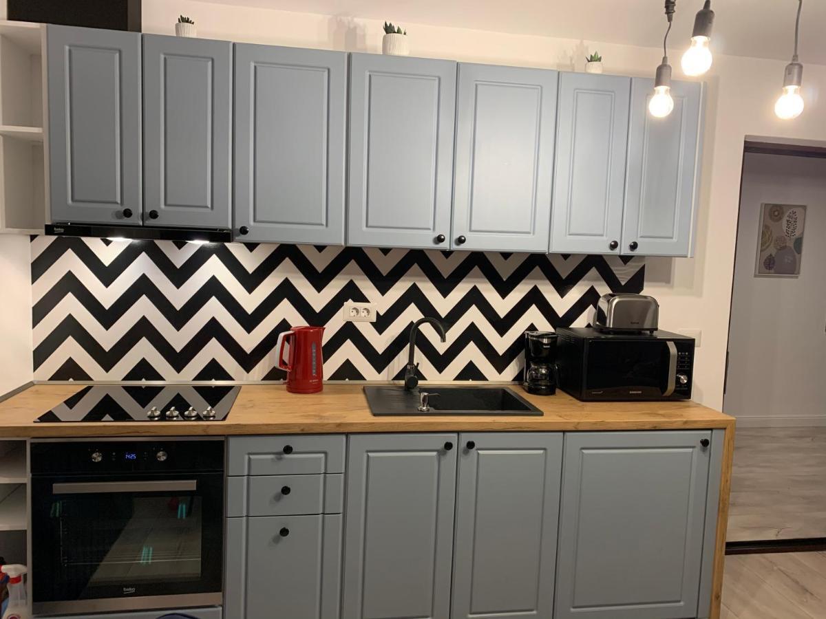 Best Apartment Scheia スチャヴァ エクステリア 写真